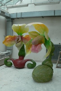 Orchidea genitalis